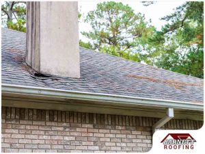 Is It Important to Know Your Roof’s Age?